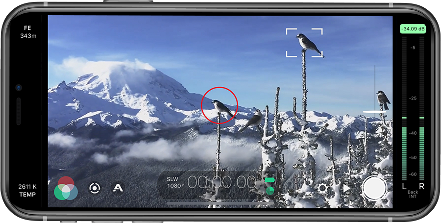 Filmic pro deals active track
