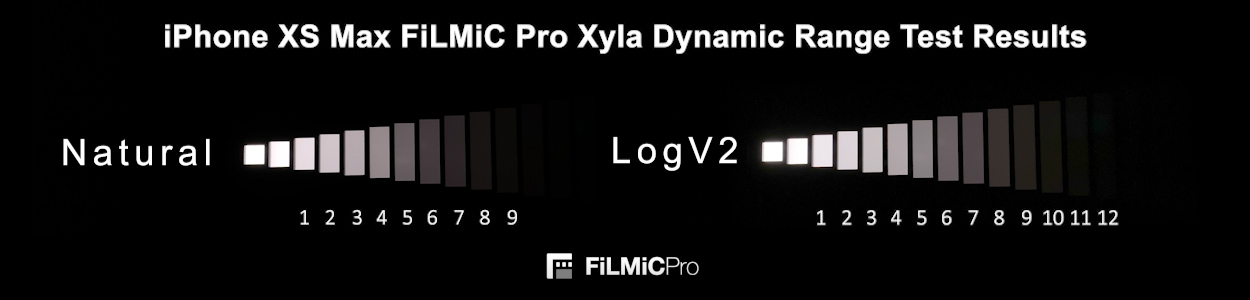 LogV2-vs-Natural-Xyla-Chart-wide-aspect-ratio